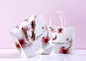 Paper Bags Supplier: Canfei Packing